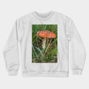 Fungi - Adelaide Hills - Fleurieu Peninsula by South Australian artist Avril Thomas Crewneck Sweatshirt